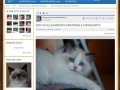 La locanda - Foto (Social)